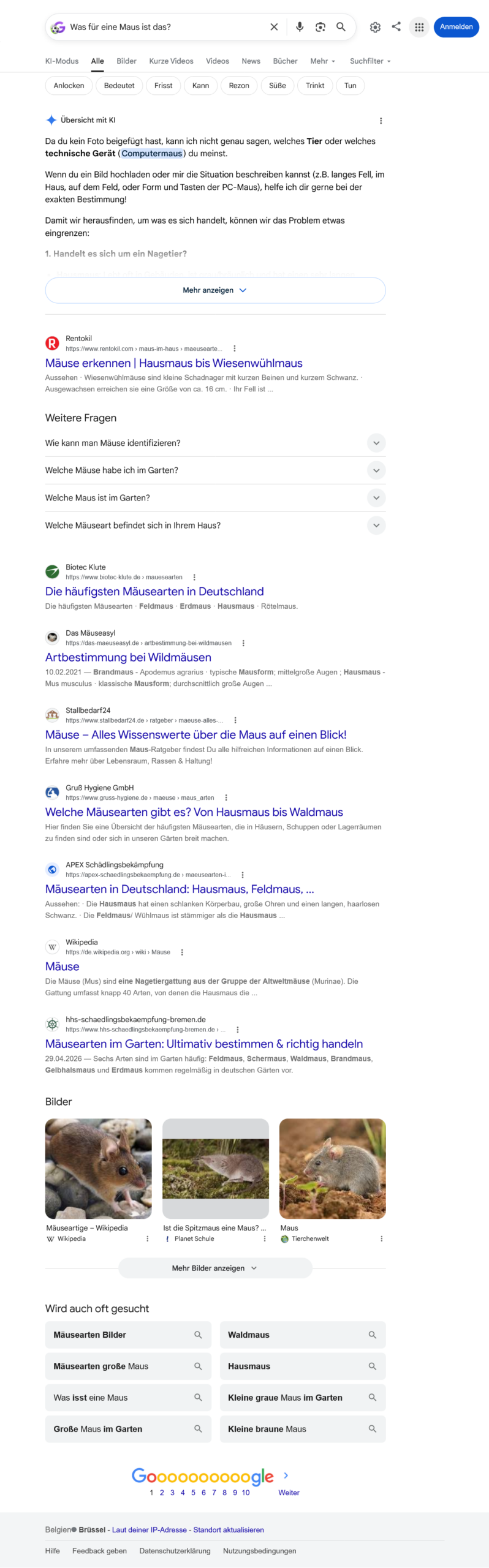 New Google Search